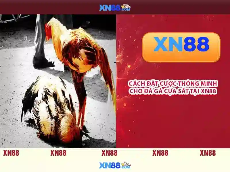 Trải nghiệm Slot Game XN88