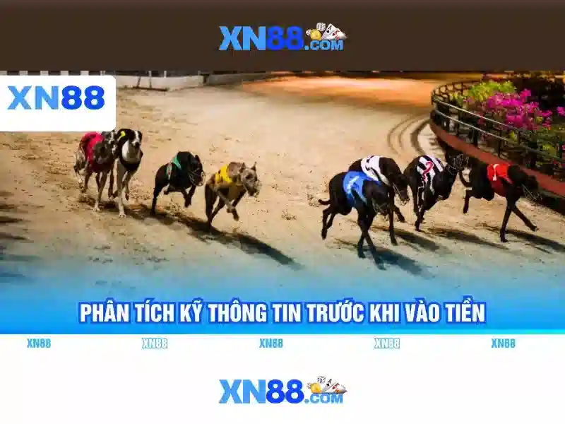ưu đãi slot 2026