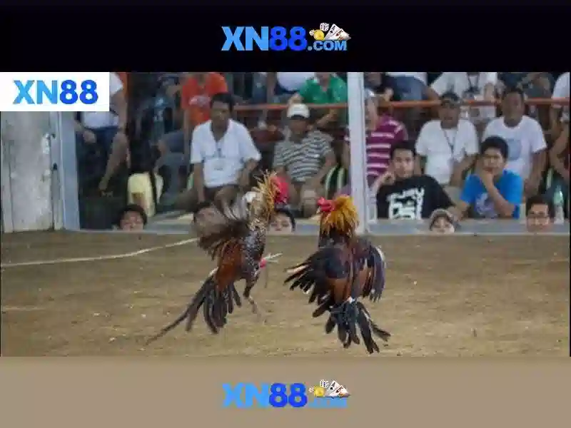 Khuyến Mãi Slot XN88