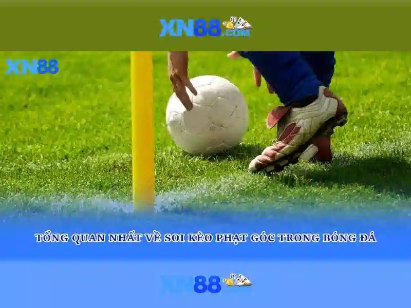 Tài Khoản XN88 – Đăng Nhập Nhanh Chóng