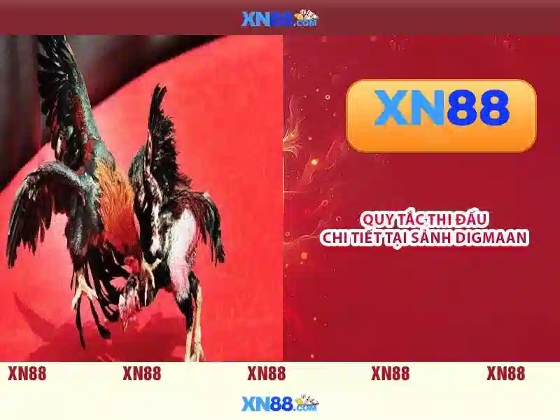 XN88 – Link Vào Trang Chủ XN88 Chính Thức Không Bị Chặn 2026 | XN88 Link