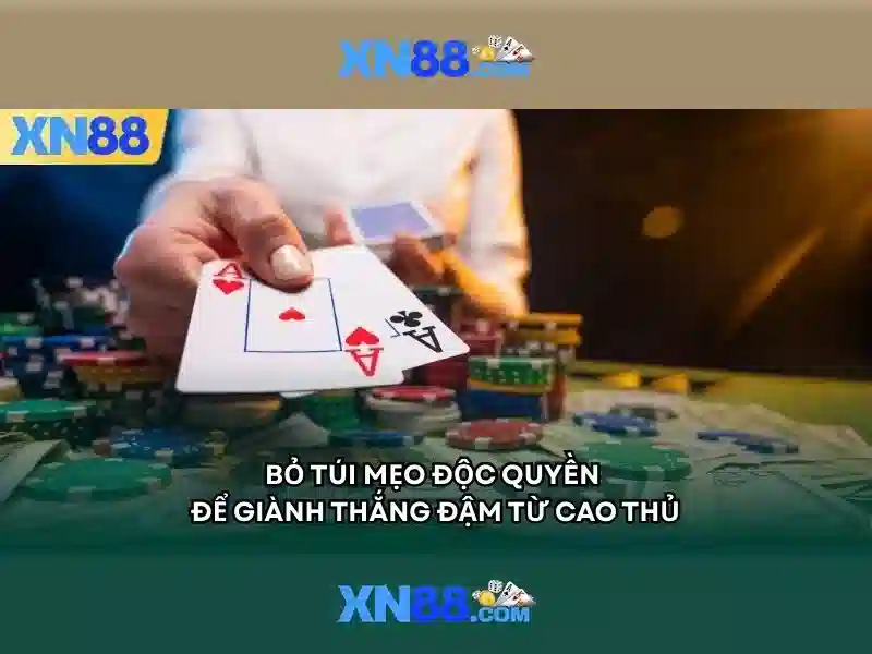 Giới Thiệu Về XN88