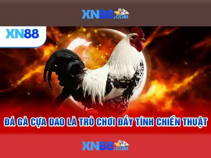 Lý Do Chọn Rút Tiền Slot XN88