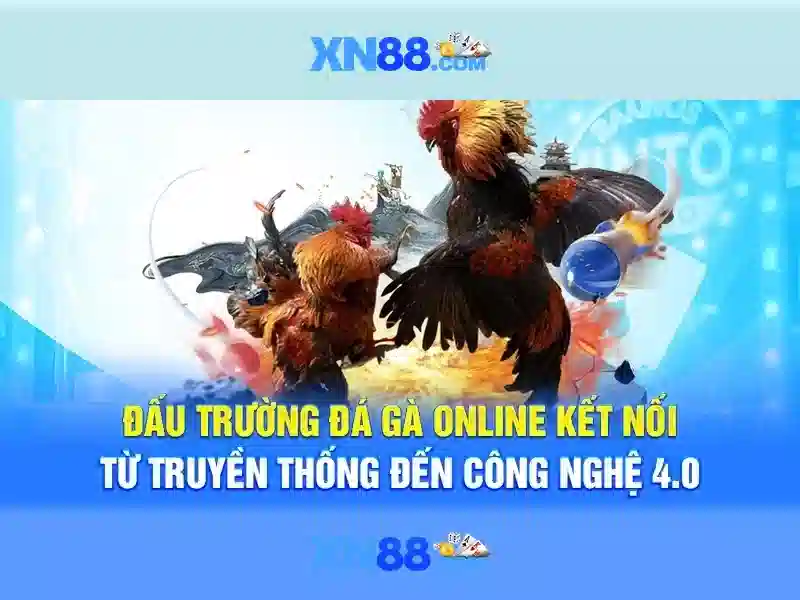 Đăng nhập tài khoản XN88 và xác thực thông tin