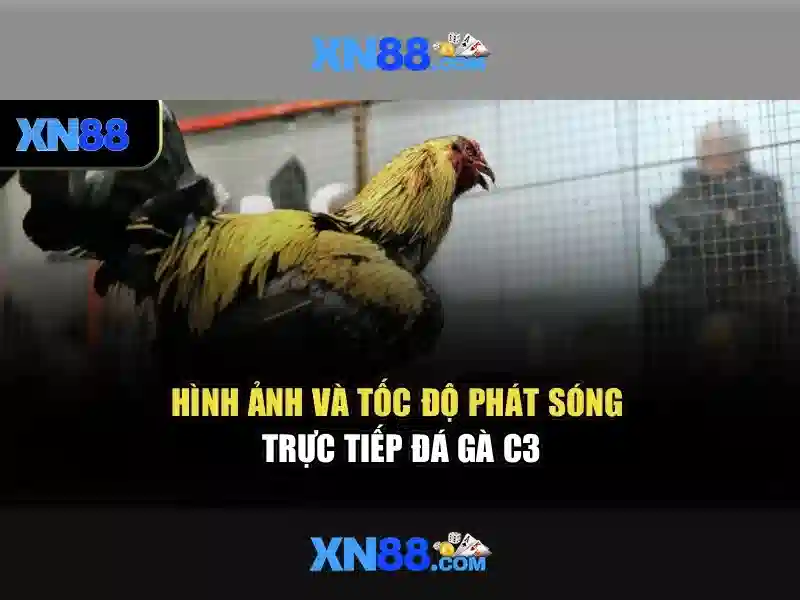 Tải XN88