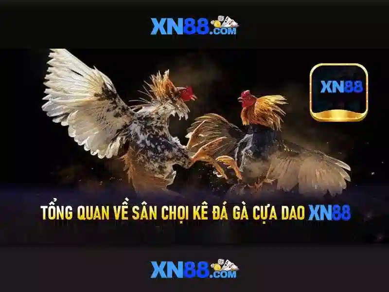 XN88 Đăng Nhập - Hướng Dẫn Truy Cập Nhanh Chóng Và An Toàn