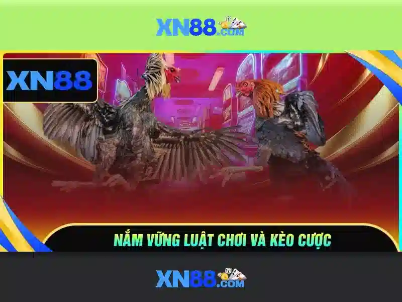 Tác Giả XN88
