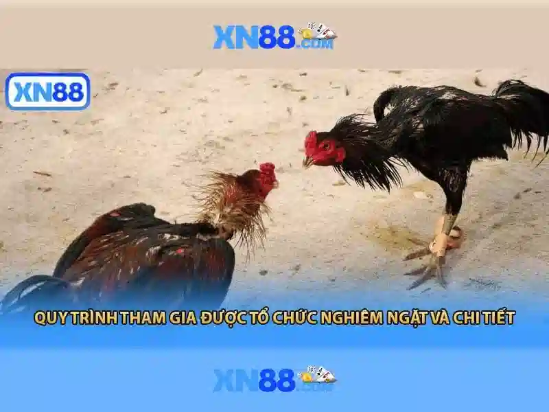Câu hỏi thường gặp XN88