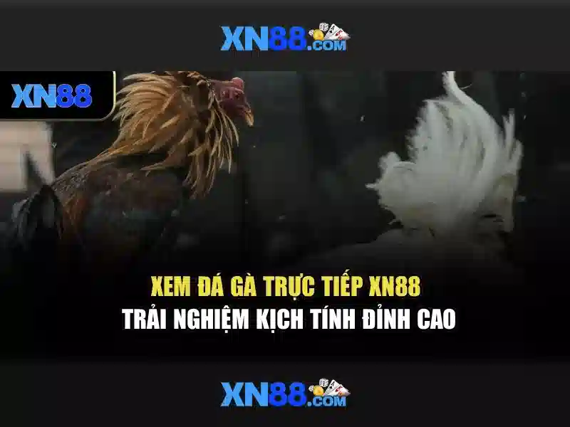 Bắn Cá