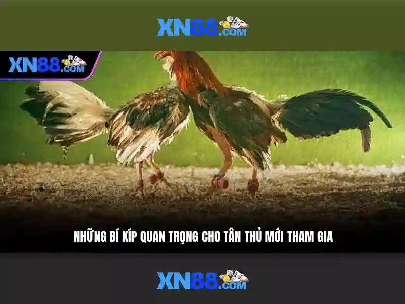XN88 Gaming