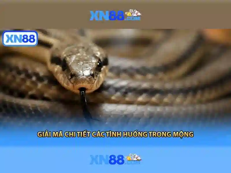Tải App XN88