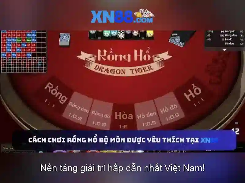 Trách Nhiệm Nền Tảng XN88