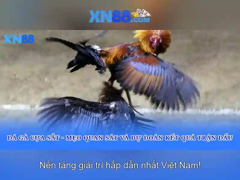 Giải thưởng đặc biệt
