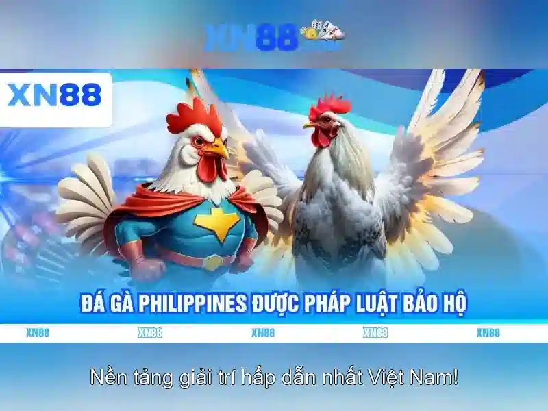 XN88 – Trải Nghiệm Slot Đỉnh Cao Với Link Vào Trang Chủ Chính Thức 2026