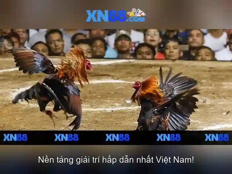 Cách chơi Slot