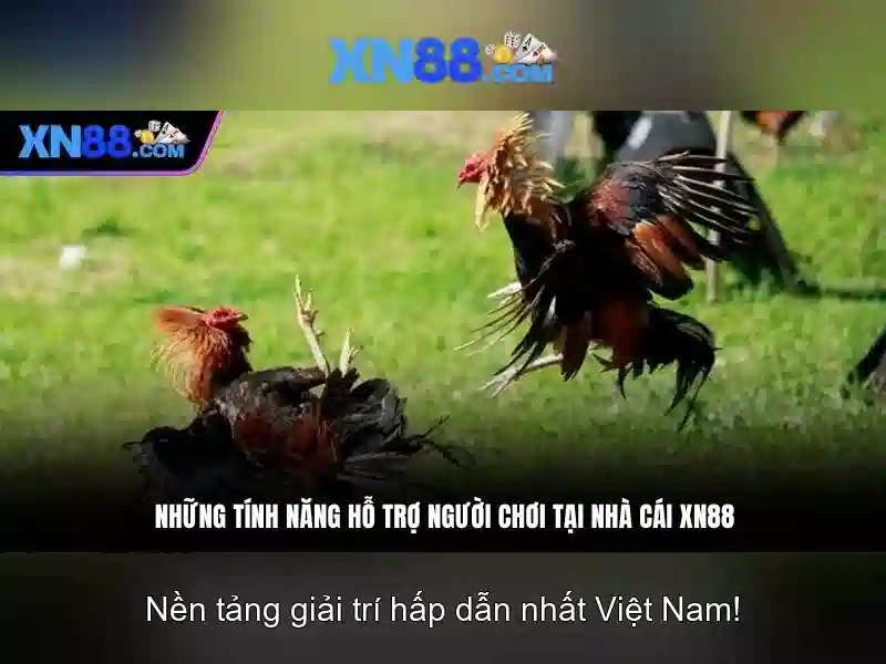 XN88 - Trang Chủ Chính Thức Cung Cấp Ứng Dụng XN88 App Cho Người Chơi Slot 2026