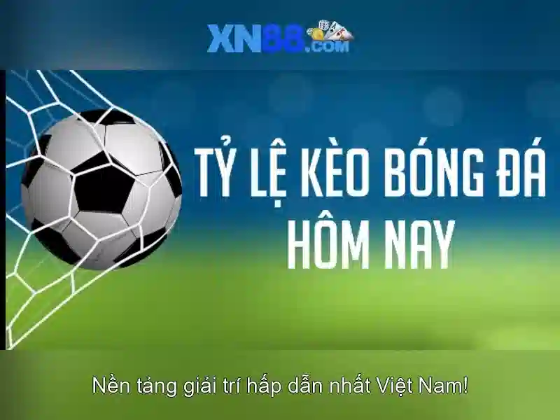 đặc điểm nổi bật