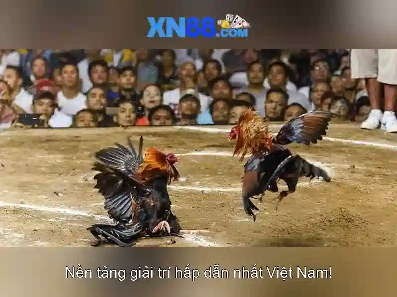 Lợi Ích Chơi Slot Tại XN88