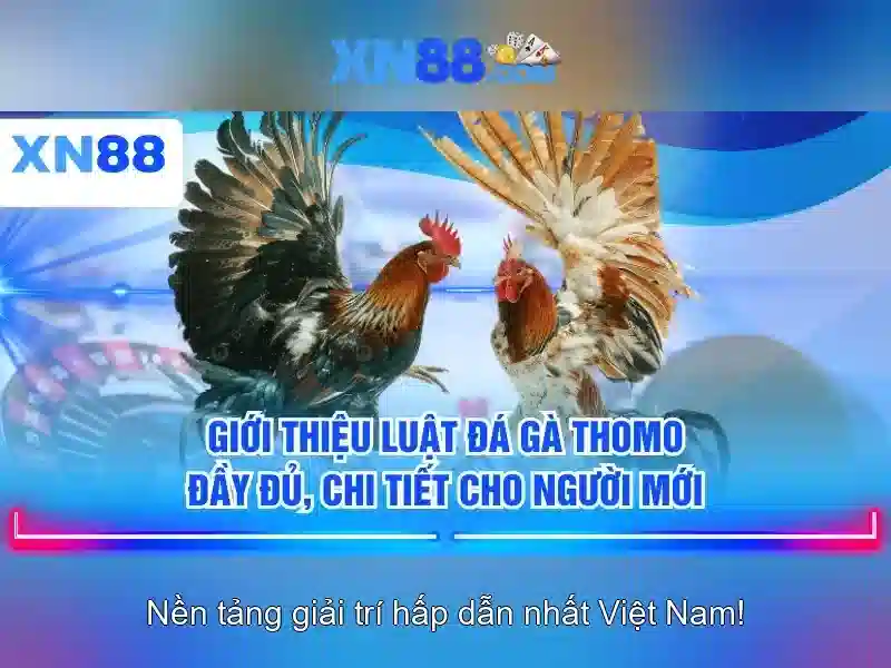 Ưu Đãi Slot XN88