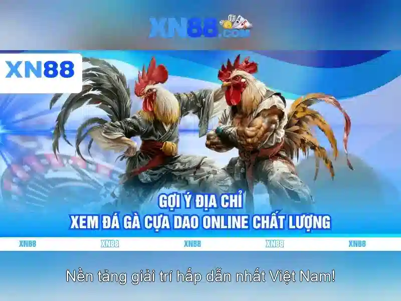 Tại Sao Nên Chọn XN88
