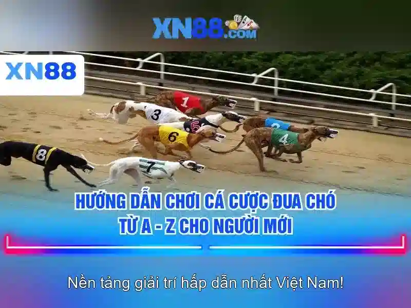 XN88 – Trải Nghiệm Slot Đỉnh Cao Với XN88 Lừa Đảo 2026