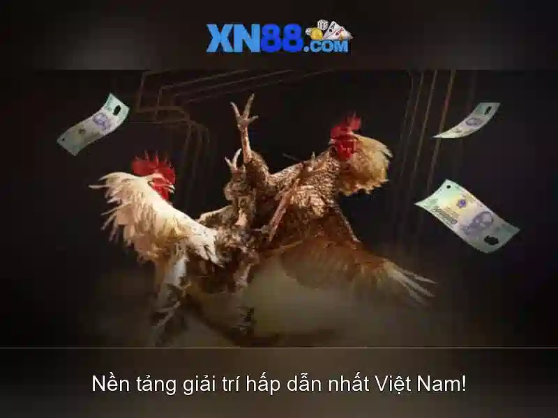 App XN88 – Trải Nghiệm Slot Đỉnh Cao