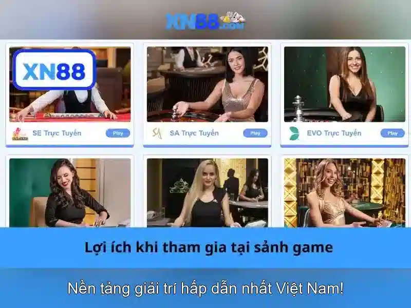 Điều Khoản Công Bằng XN88