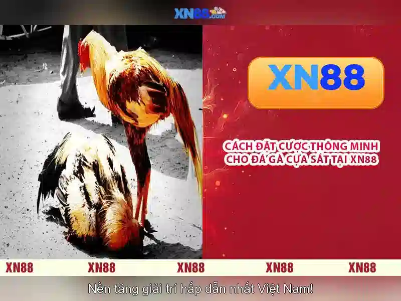 Trải nghiệm slot trực tiếp