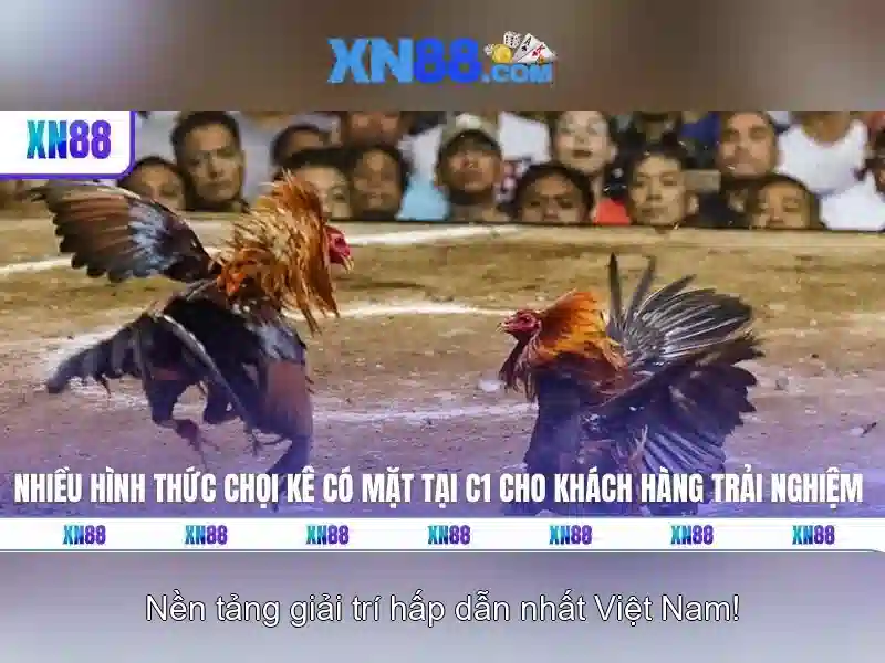 nhận thưởng XN88