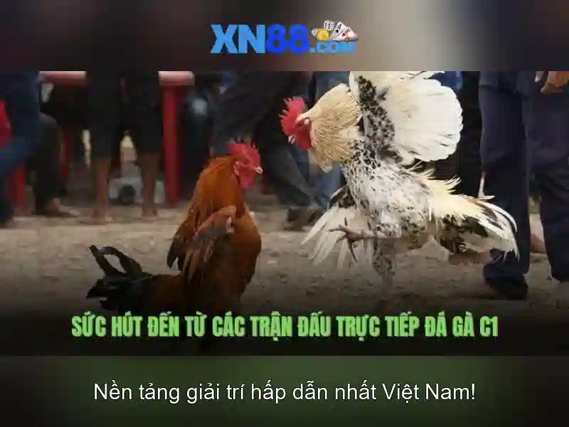 khuyến mãi XN88