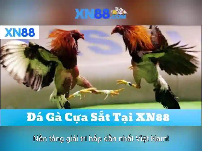 XN88 – Trải Nghiệm Slot Đỉnh Cao Với Tải XN88 Miễn Phí 2026
