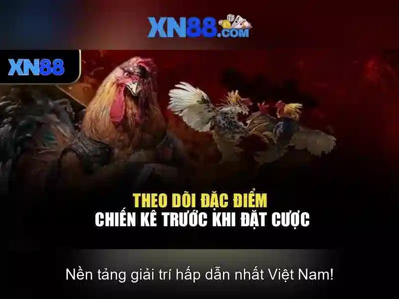 XN88 chính thức