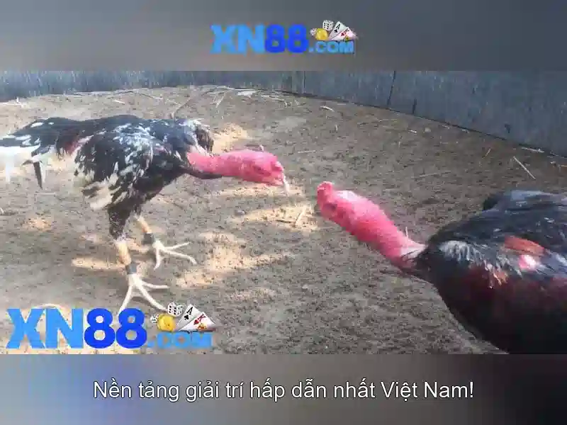 Ưu điểm app XN88