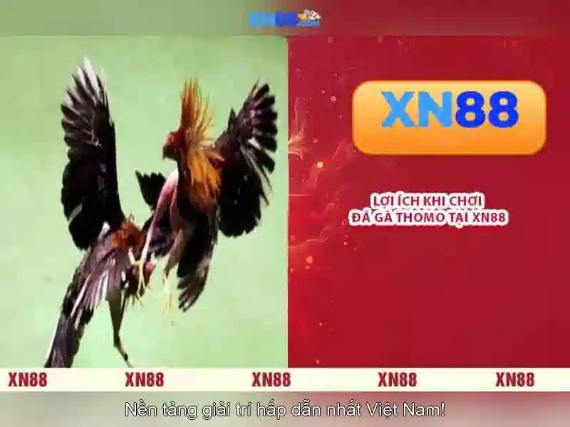 Trò Chơi Slot XN88