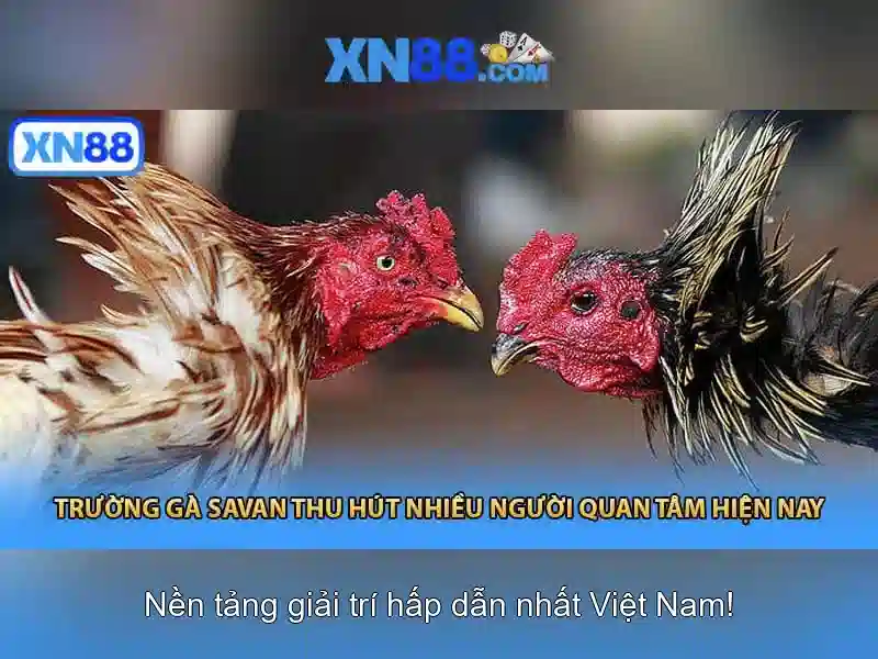 Cách rút tiền XN88 nhanh chóng và an toàn