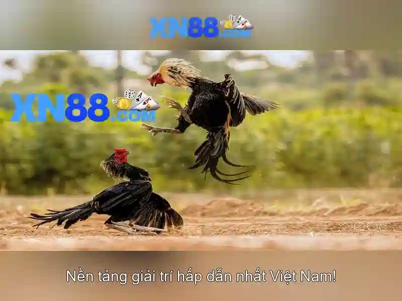 Kinh nghiệm chơi slot