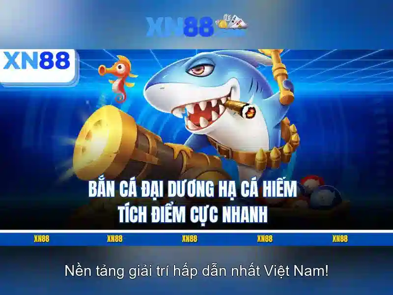 Đánh Giá Từ Người Dùng