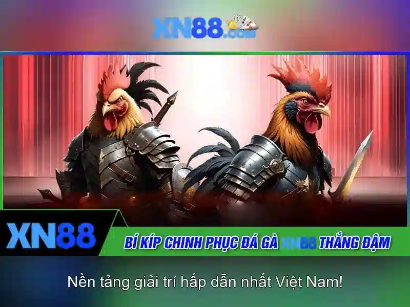 Trang Chủ XN88