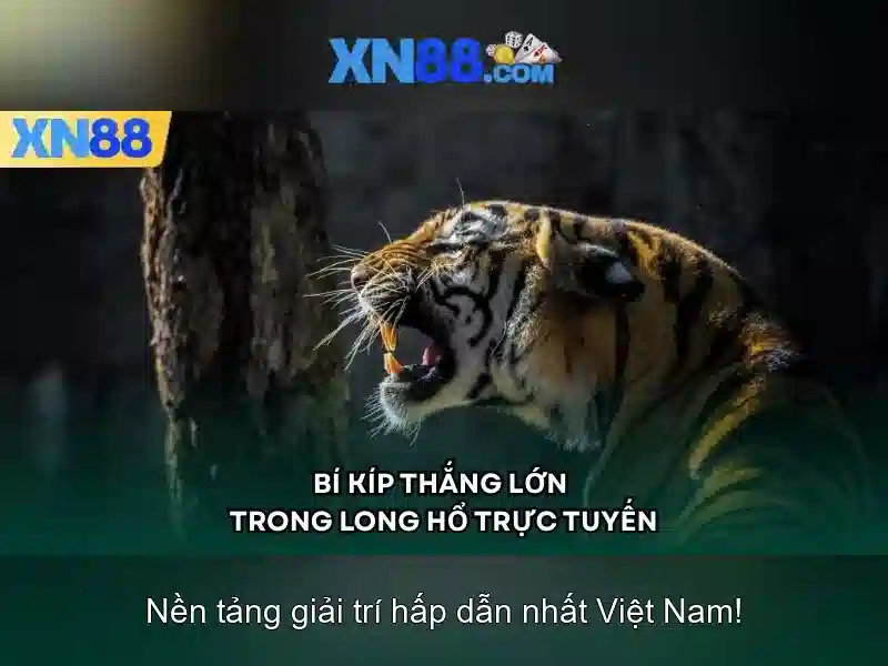 Giới Thiệu Về Đá Gà XN88