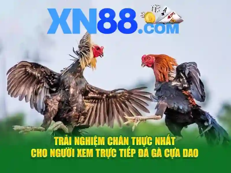 thưởng XN88